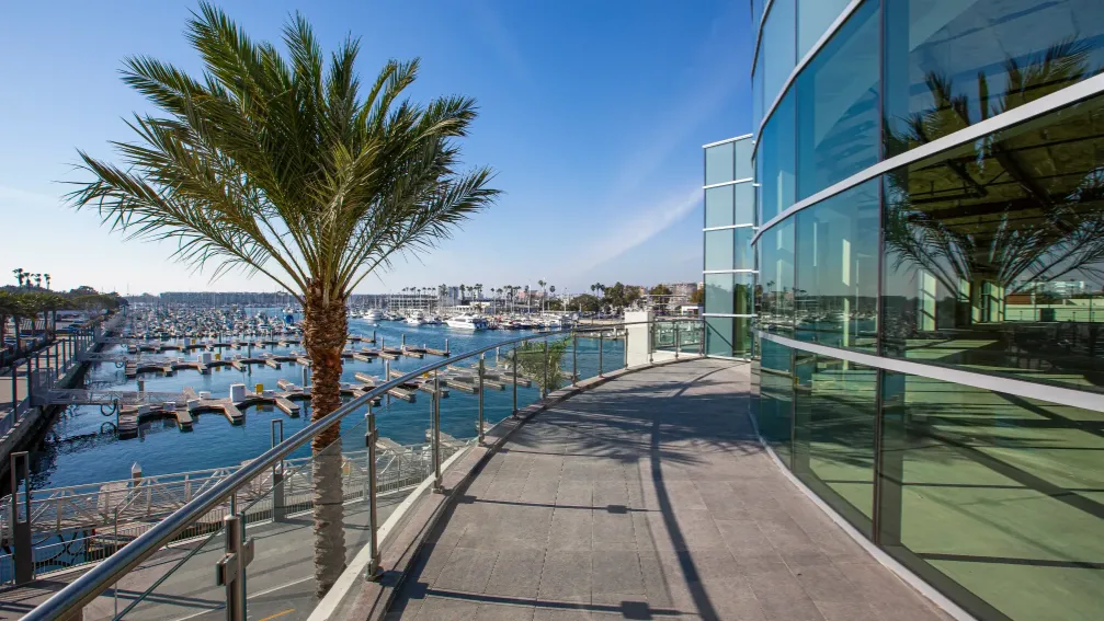 Project Pier 44